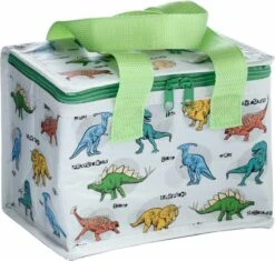 Kleine Lunch/sixpack Koeltas - Dinosaurus Print - 21 X 16 Cm - 4,7 L 14 Kleine Lunch/sixpack Koeltas - Dinosaurus Print - 21 X 16 Cm - 4,7 L -Buitenkampeer Winkel 1200x1140