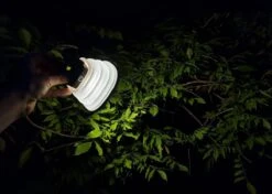 Solar Led Camping Lamp - Tent Verlichting Oplaadbaar - Solar Lantaarn Tafellamp Opvouwbare Campinglamp - King Mungo 19 Solar Led Camping Lamp - Tent Verlichting Oplaadbaar - Solar Lantaarn Tafellamp Opvouwbare Campinglamp - King Mungo -Buitenkampeer Winkel 1200x856 2